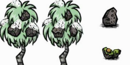 饥荒石头果用途详细解析