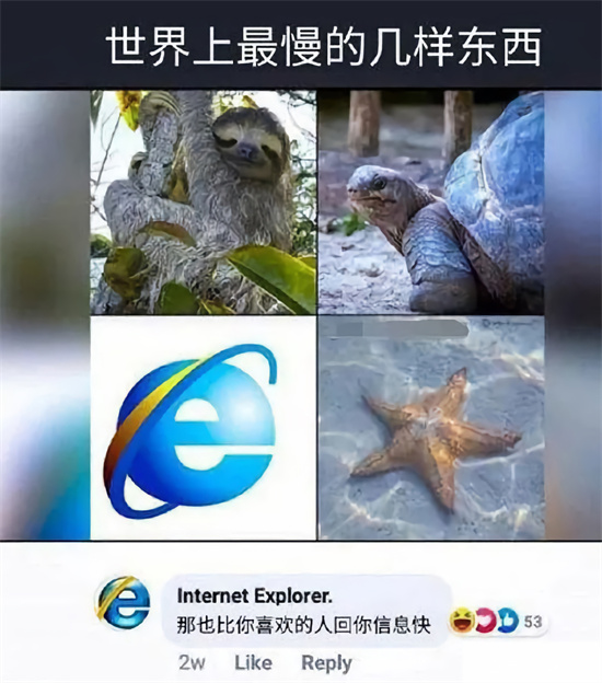 IE浏览器终止服务背后原因解析