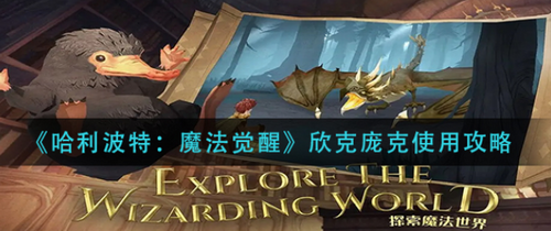 哈利波特魔法觉醒欣克庞克使用指南