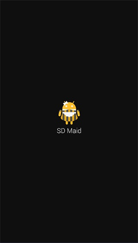 SD Maid
