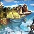 实况钓鱼免费畅玩真实水域v1.021 免费版