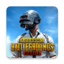 PUBGM全球服手游下载
