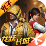 和平精英国际服免费版