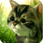 猫咪追寻奇幻冒险手游v0.91 无限金币版