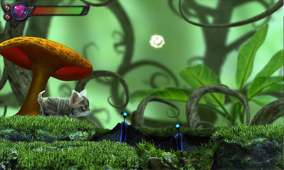 u732bu54aau8ffdu5bfbu514du8d39u72482024u6700u65b0u7248