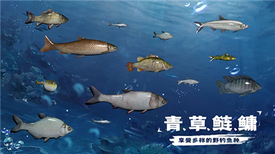 u5929u5929u9493u9c7cu65e0u9650u91d1u5e01u7248