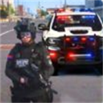 模拟警察巡逻手游下载v1.01 无敌版