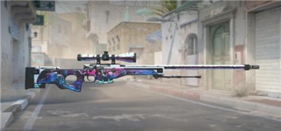 日本CSGO大姐姐AWP价格详解