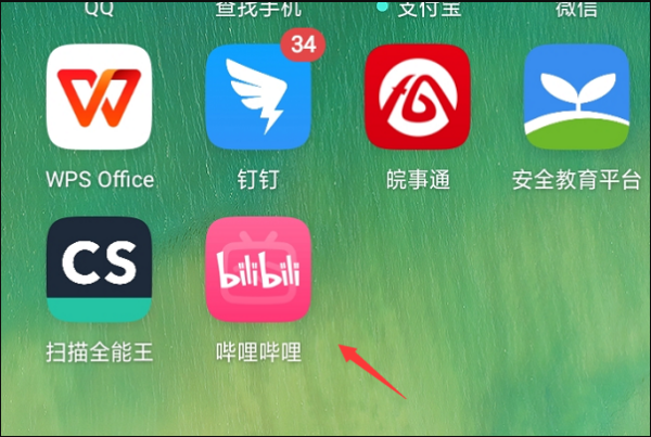 `哔哩哔哩视频下载本地存储指南`