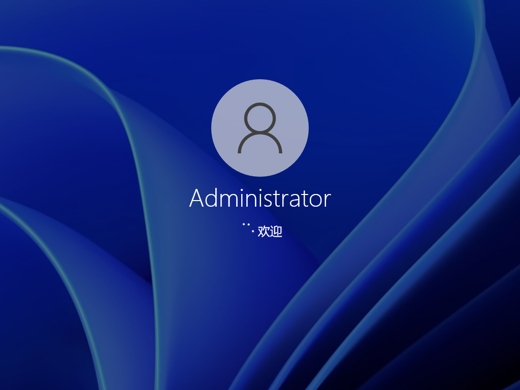 Windows11桌面环境展示