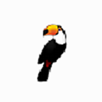 Toucan高效数据同步工具v3.04
